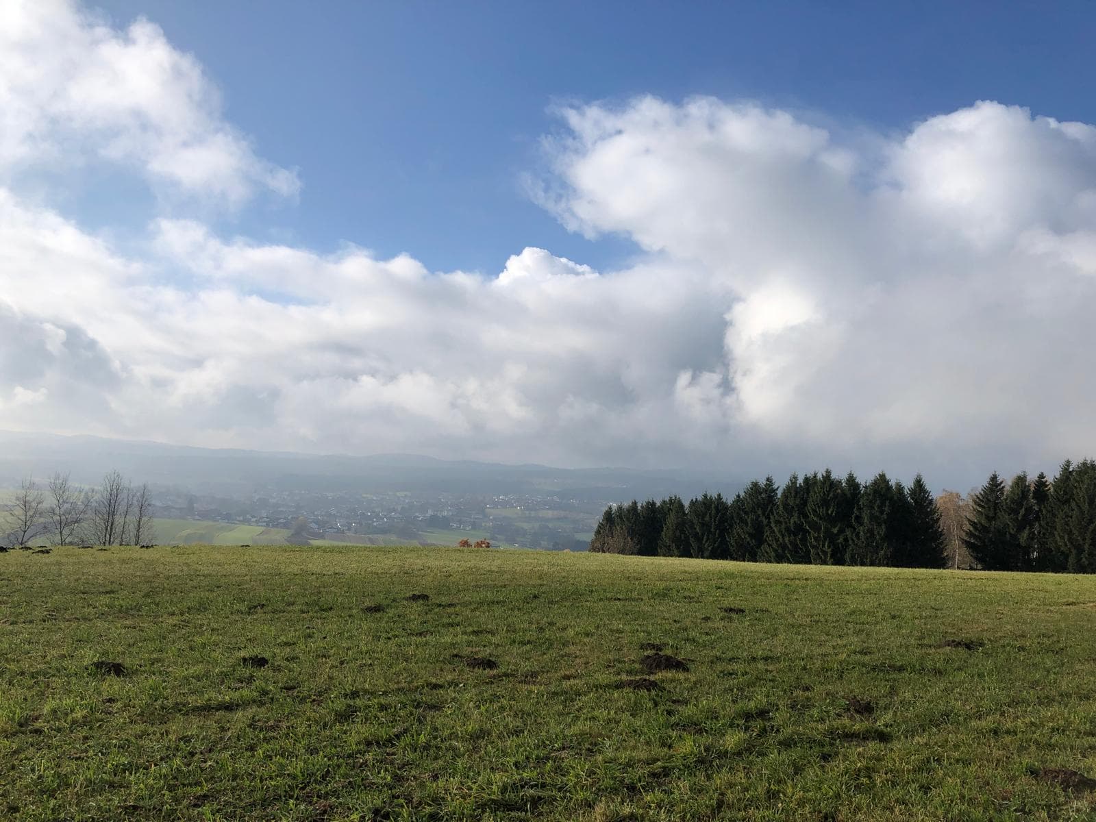 Hotel Haus am Berg, Rinchnach